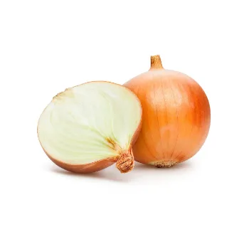 Onion (17)-2431342-73745.webp